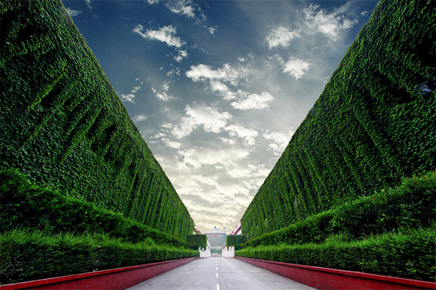 1732085672977.jpg 1732085672977.jpg