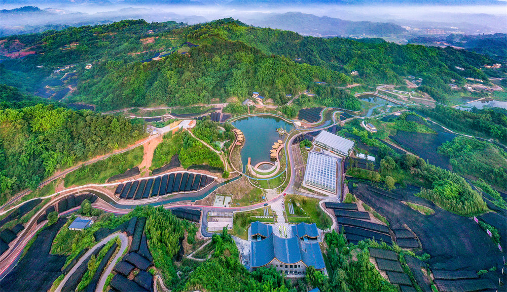 微信图片_20260112140635_11_46.jpg 微信图片_20260112140635_11_46.jpg